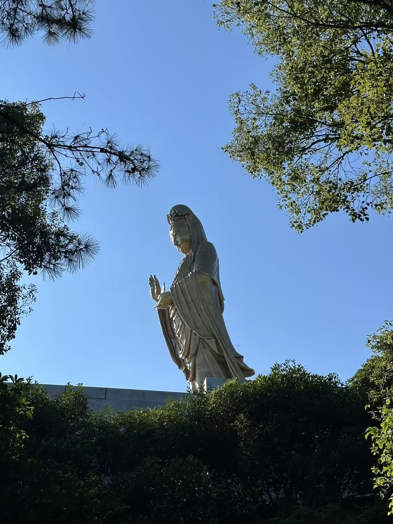 �c(di��n)���鿴Ԕ��(x��)��Ϣ����(bi��o)�}����(j��)�����������罹������ɽ���� ��x�Δ�(sh��)��331