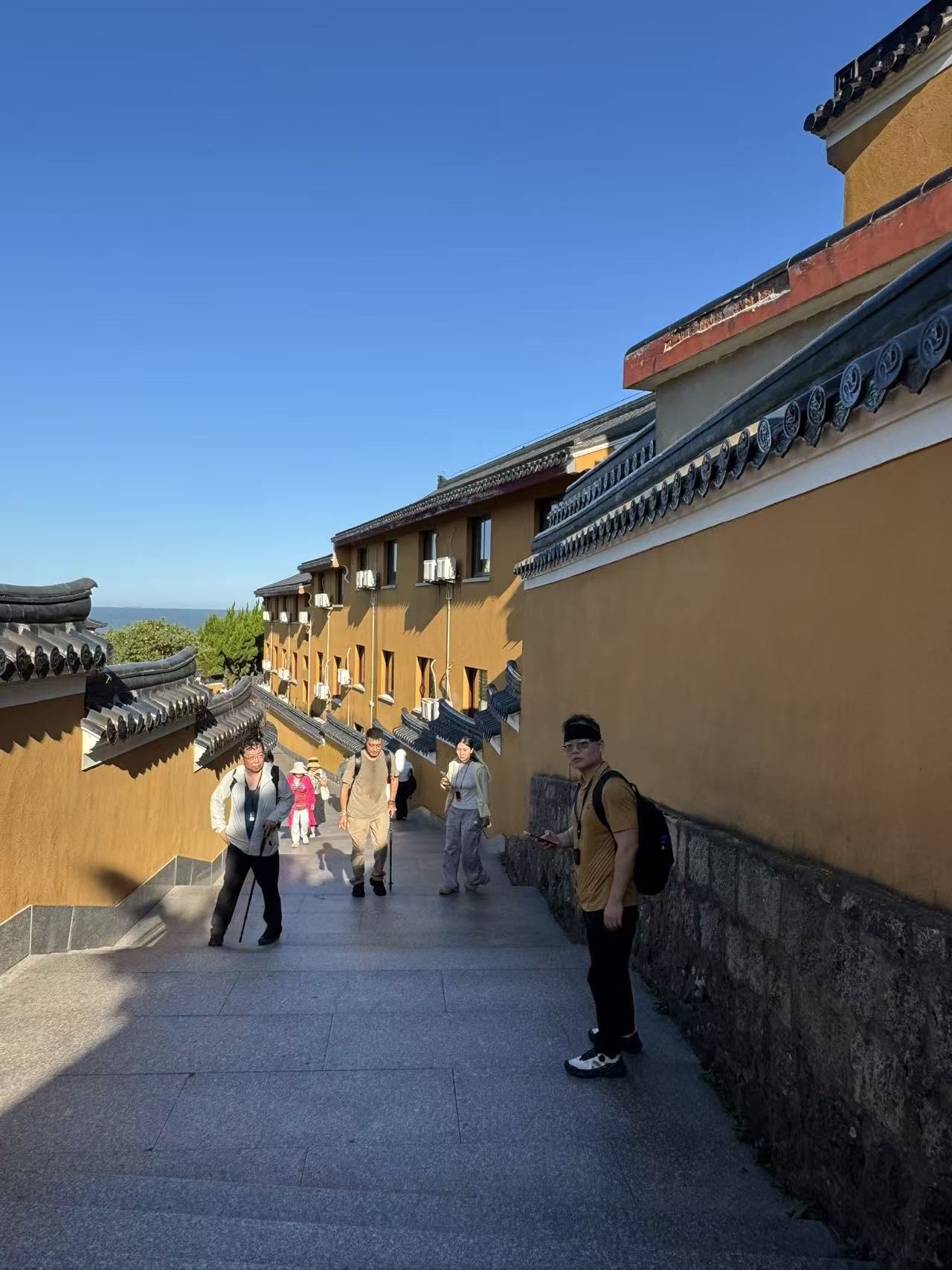 �c(di��n)���鿴Ԕ��(x��)��Ϣ����(bi��o)�}����(j��)�����������罹������ɽ���� ��x�Δ�(sh��)��328